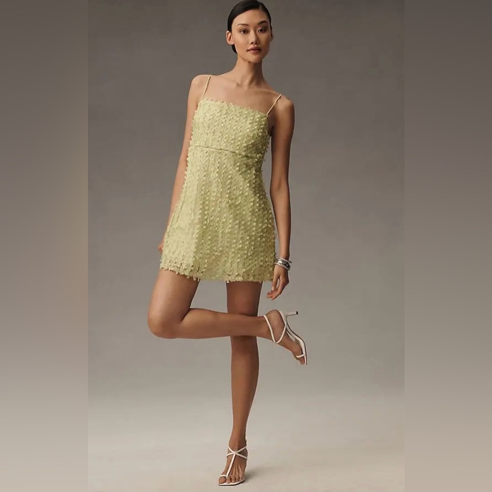 Anthropologie 3D Floral Embellished Mini Dress Size XL